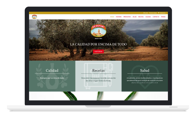 Desarrollo a medida de ecommerce de Aceites Echinac